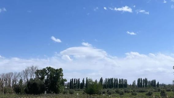 From Mendoza: 3 Wineries, Olive Oil Factory Tour & Tasting