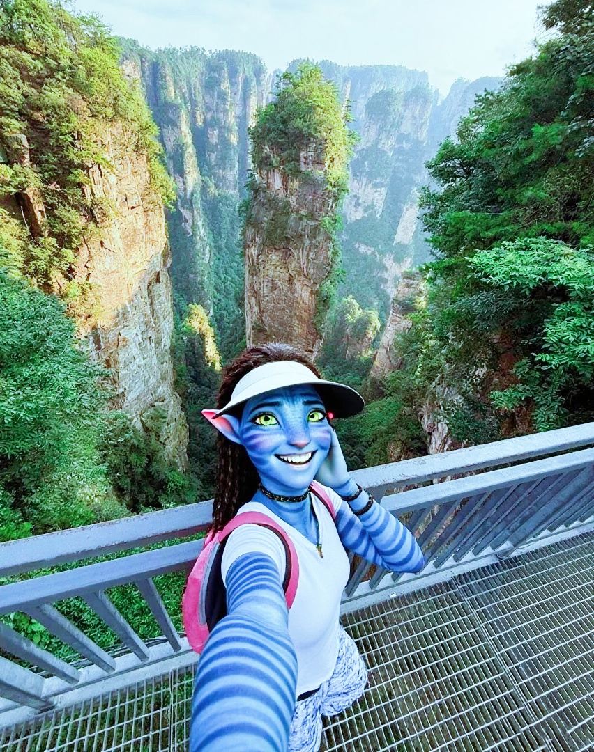 All-inclusive private tour - Zhangjiajie National Forest Park day tour - Avatar - Bailong Elevator - Tianzi Mountain - in-depth exploration - professional guide - fun commentary - efficient itinerary