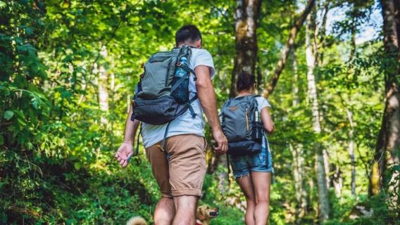 Punta Cana: Đi bộ và chèo thuyền kayak ở Công viên Quốc gia Los Haitises