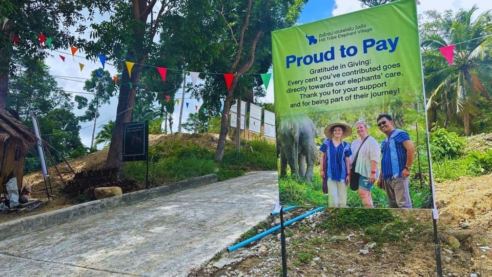 Phuket: Geführte Tour zum Elefantenschutzgebiet mit Transfer