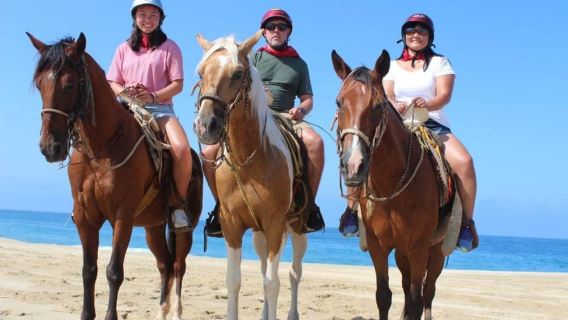 Cabo San Lucas: Scenic Horseback Ride Along the Corridor