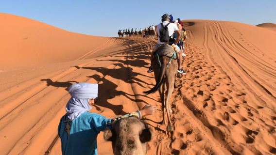 Merzouga: Quad Biking, Sandboarding, Camel & Sunset Dinner