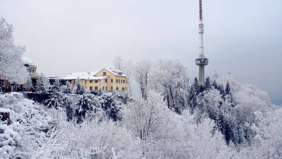 蘇黎世班霍夫大街-探索老城區-聖母大教堂 一日遊 +行程可調
