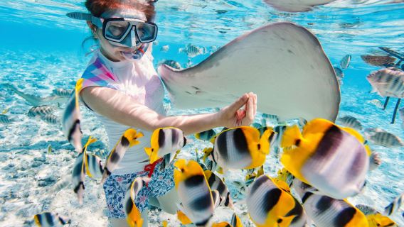Langkawi Pulau Payar Snorkeling and Diving 1-Day Tour [Hotel pickup/drop-off/experience diving/OW certification]