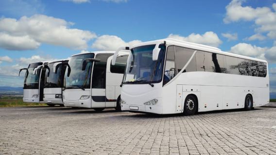 Dari Miami: Perjalanan Sehari ke Key West dengan Narasi