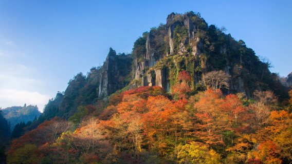 日本一目八景+溪石園+九醉溪（桂茶屋）+九重夢大吊橋一日遊