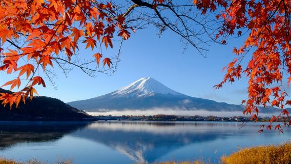 Vé xe buýt Nhật Bản từ Shinjuku đến Kawaguchiko Yamanakako Fuji-Q Highland Tuyến xe buýt sân bay Gotemba Quét mã QR để lên xe mà không cần đổi vé