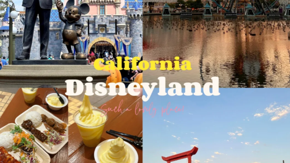 美國洛杉磯蓋蒂中心+加州迪士尼+環球影城+威尼斯海灘