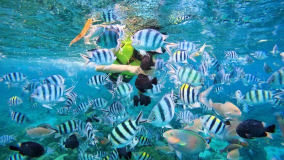 Nha Trang island tour with snorkeling at Hon Mun and relaxing at Mini Beach By Speed Boat