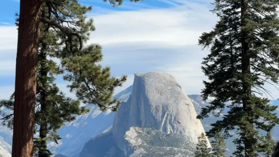 美國舊金山出發：優勝美地國家公園中文包車一日遊【行程可調】