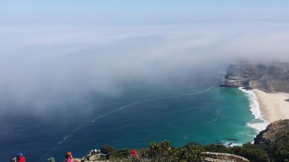 南非+開普半島一日遊【中文包車】