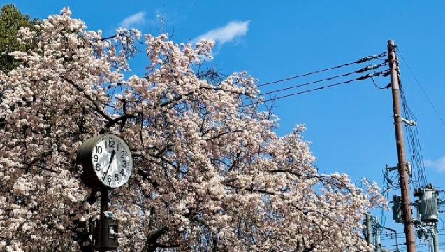日本大阪+通天閣+心齋橋+梅田藍天大廈+道頓堀-市區經典遊