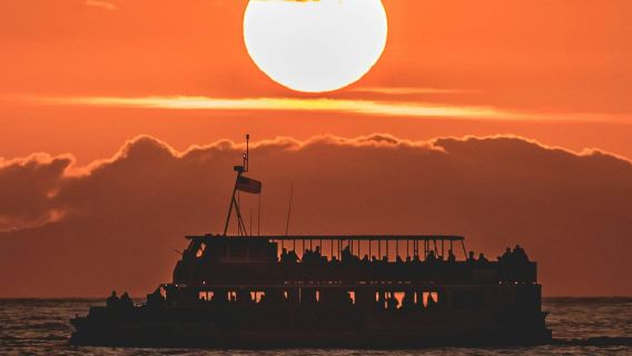 Newport Beach: 90-Min Sunset Cruise