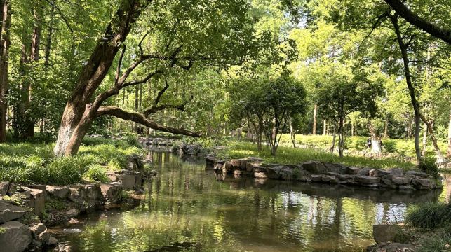 杭州上海蘇州多地出發|西湖遊船靈隱飛來峰純玩一日遊|杭州含雷