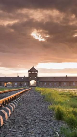 1-day tour to memorial and museum Auschwitz-Birkenau + Wieliczka salt mine with admission ticket and guide