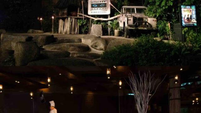 新加坡-鴨子船-水上樂園-夜間野生動物園【市區接駁服務】