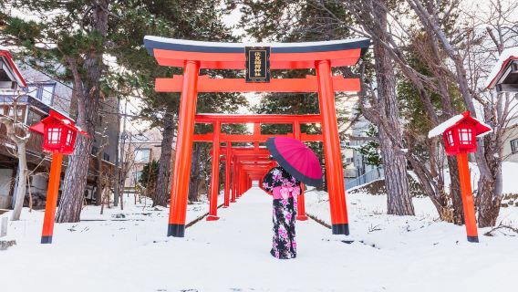 Excursión de un día a los puntos de interés más destacados de Kioto y Nara (salida desde Osaka, visita a 7 lugares famosos)