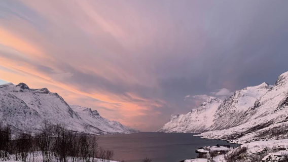 挪威特羅姆瑟-塞尼亞島+索瑪若伊島【包車-跟團詢客服】