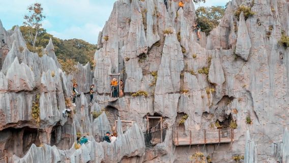 Singapore Family Tour - Water Park - Aquarium - Asian Rainforest Adventure [City Pickup Service]