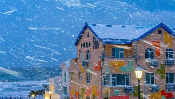 山東威海▎火炬八街+貓頭山+布魯維斯+榮成天鵝湖【包車遊】