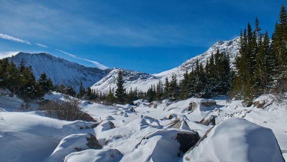 美國西雅圖-雷尼爾山國家公園包車遊