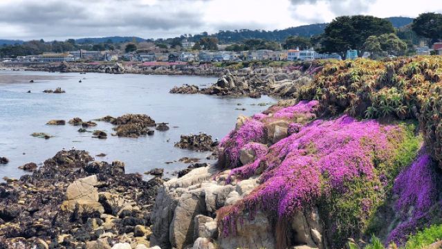 Pakej sewaan peribadi di Lebuhraya 1 San Francisco + Monterey + 17-Mile Drive + Carmel-by-the-Sea