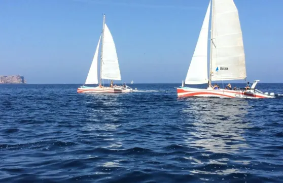 福內爾斯灣：半日雙體船之旅