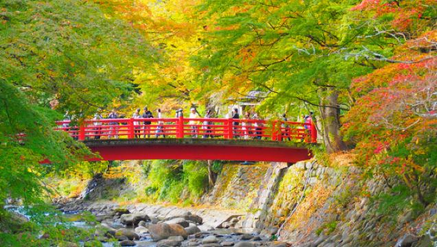 Lawatan Sehari di Izu: Shuzenji Tsubame-Sha + Air Terjun Joren