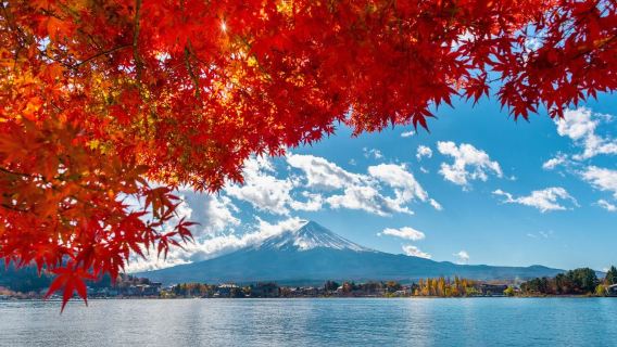 Limited-time deal - 1-day tour to Mount Fuji - Lake Kawaguchi + Oshino Hakkai + Gotemba Premium Outlets