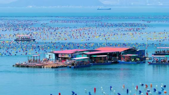 Pakej Menangkap Ikan dengan Bot Nelayan di Pulau Nan'ao Shantou + Mengutip Sangkar Ketam + Melawat Laut Pelangi + Percuma Pengalaman Memancing Laut