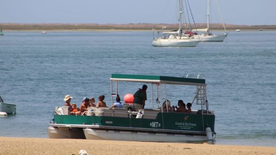 From Faro: 4 Stops, 3 Islands in Ria Formosa Catamaran Tour