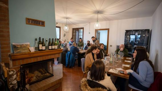 Parma: Guided wine tasting with a light lunch of local products