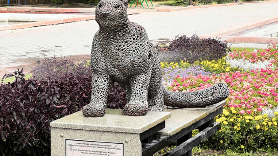 Bishkek City Bike Tour: History, Parks & Local Life