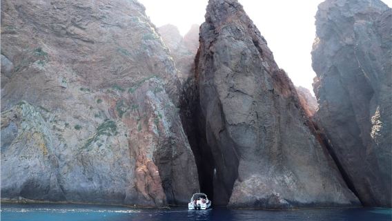 Calvi to Scandola: 4-Hour Boat Tour