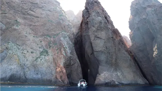 Calvi nach Scandola: 4-stündige Bootstour