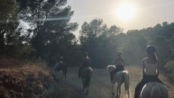 1 小時馬拉加山脈自然保護區騎馬活動