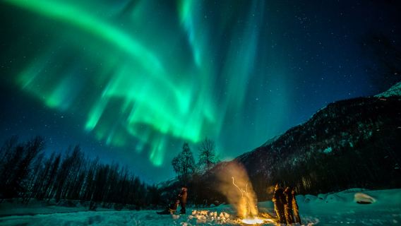 Fairbanks "Aurora Freestyle" northern lights viewing tour | optional cozy cabin/dynamic aurora chasing