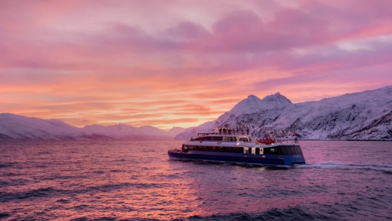 Norway Tromso Fjords whale watching tour guide + catamaran cruise + high chance of no return