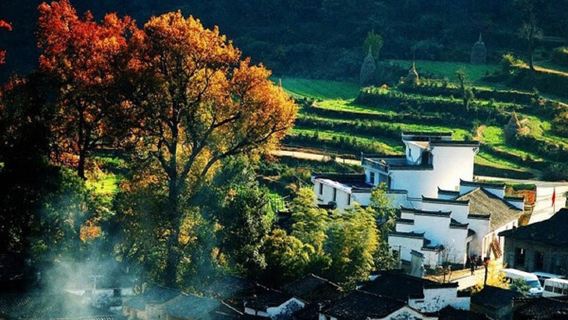 Lawatan sehari ke tarikan pelancongan Hongcun Anhui + Tachuan [Pemandangan musim luruh Tachuan/Hotel di daerah Tunxi/Jemputan dari stesen bas]