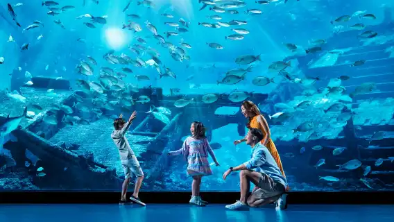 ตั๋วเข้าชมพิพิธภัณฑ์สัตว์น้ำ S.E.A. (S.E.A. Aquarium™ One-Day Ticket)|  Trip.Com