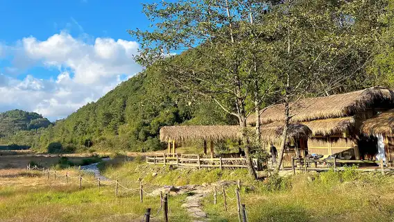 騰衝高黎貢山4公里輕健行一日遊（山野拾趣採菌子/山河野廚）