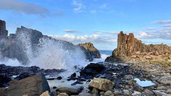 Beecroft Peninsula日遊