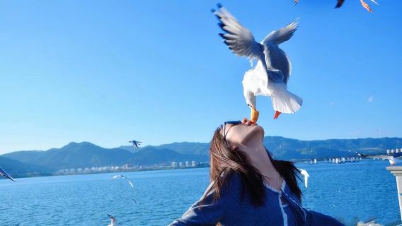 昆明石林+滇池一日遊【二環接車◆可選9點晚出發或15人小團】