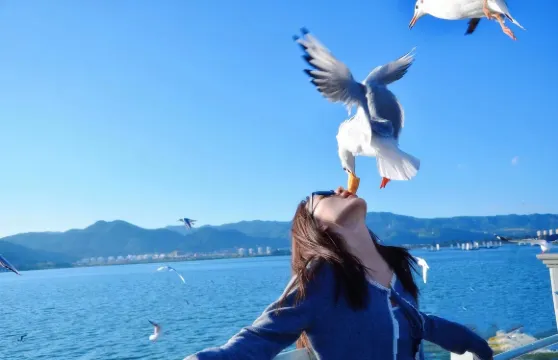 昆明石林風景區+滇池一日遊【優選純玩◆可選9點晚出發或15人小團】