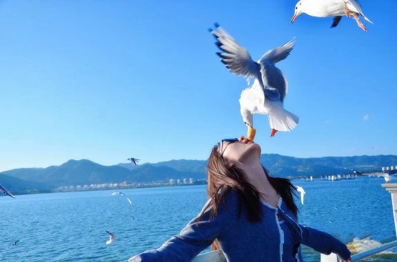 昆明石林+滇池一日遊【二環接車◆可選9點晚出發或15人小團】