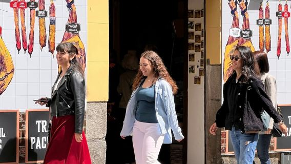 Madrid: Walking Tour + Flamenco Show with Optional Tapas