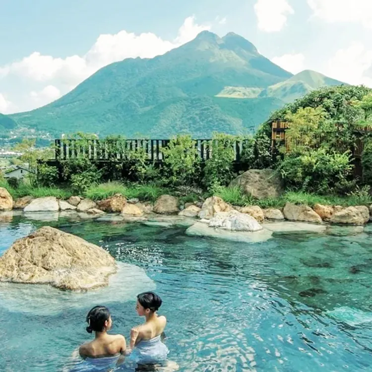 1-day tour to Kyushu Wildlife Park African Safari in Oita, Japan