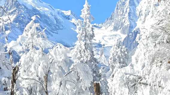 【2-6人包車來回】中國貢嘎山海螺溝&冰川科考體驗