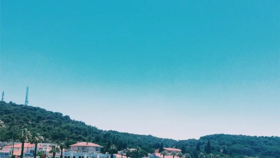 美國邁阿密+基韋斯特+基韋斯特【海明威故居-果凍海高端尊享】