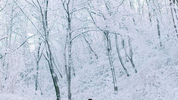 VladimirTravel Photography
